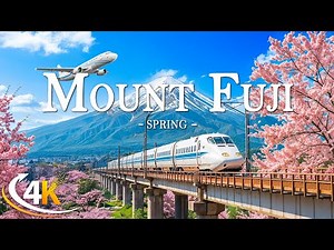 Spring Fuji 4K, Japan 🏔️ Strolling Under Sakura with Majestic Mount Fuji in View