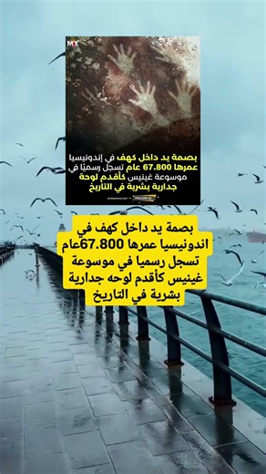 بصمة يد داخل كهف في اندونيسيا عمرها 67.800عام تسجل رسميا في موسوعة غينيس