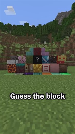 CheezyChez | Guess the Minecraft block in 60 seconds 42 #minecraft #minecraftmemes #trivia | Instagram