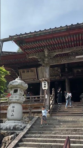 【GWの穴場】新緑のトンネルが美しすぎる！岐阜・谷汲山華厳寺の参道、混雑なしの絶景秘境【自然音】
