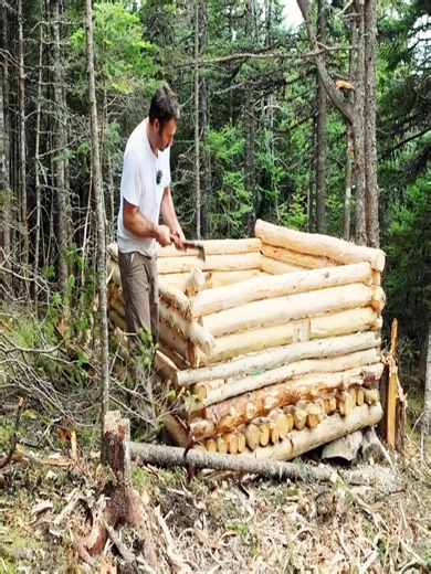 Pt2 | Building a Log Cabin Alone- From First Log to First Night #campinglife #solocamping #shelter #building #bushcraft #logcabin #survivalcamp #build #fyp #foryou #foryoupage #bushcraft #rock