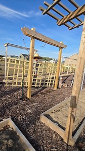 Ready to install trellis ➡️ garden idea for vertical gardening #backyardgarden #garden #trellis #gardeninspiration | Kabsat