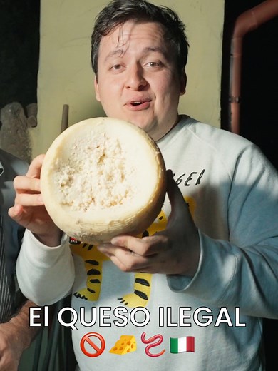 Casu Marzu: El queso italiano ilegal que debes probar