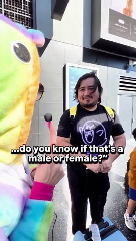 Sandra Lee, MD, FAAD, FAACS on Instagram: "I hit the streets of Hollywood to hand out my Pop & Protect bundle 💥⁠ ⁠ Acne patches protect healing pimples from prying hands…but when they come to a head, you’ll be prepared to extract them gently and safely with my official comedone extractor.⁠ ⁠ Get yours at the link in my bio!⁠ ⁠ #drpimplepopper #popaholic #hollywood #streetinterviews #walkoffame"