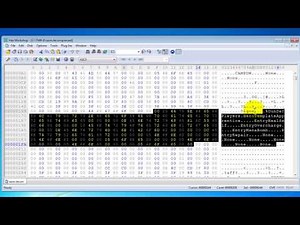 how to mod dungeon defenders with hex workshop part one