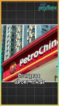 The world's 5 largest companies by capitalization