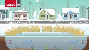 Ensure you keep your family safe this winter by staying off community storm ponds. Although they may look inviting for a family skate, they are dangerous even when the ice looks frozen solid. Ice thickness is unpredictable and can change fast, causing cracks and an unsafe surface. 🚫⛸ Instead – enjoy one of Calgary’s many safe outdoor alternatives. Learn more at Calgary.ca/stormpondsafety | City of Calgary – Your Local Government