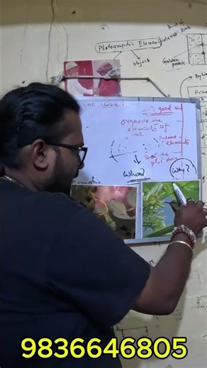 Cinematic Shots: Z-Axis & Triangle Composition Breakdown (Pro Secrets)