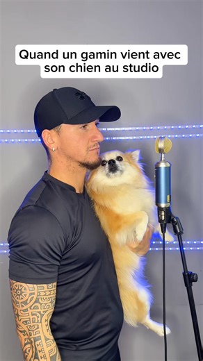 467K views · 39K reactions | Pris au dépourvu… #studio #studiosession #recording #recordingstudio #Dog | Meeko | Facebook