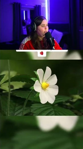 How Things ACTUALLY WORK! 🫢#shorts