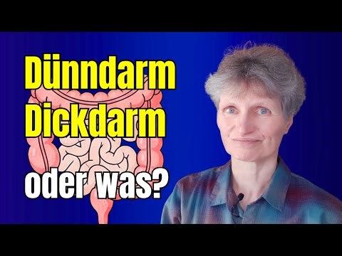 Chromatest: Wie geht es dir und deinem Dünndarm?