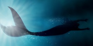 Terrifying video of mermaid attacked by fish in public aquarium