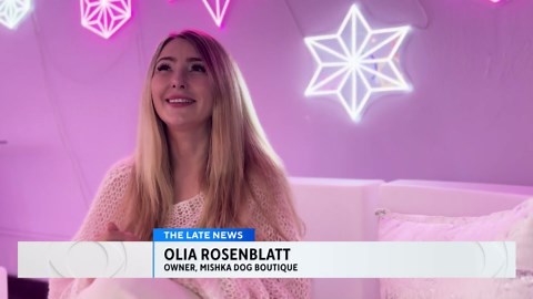 Mishka Dog Boutique in San Francisco taking canine care to luxurious levels