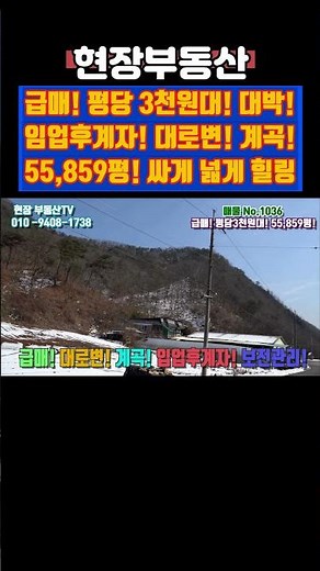 급매 싼 임야 매매 평당3천원대 55859평 #급매 #부동산 #임야 #자연인 #임업후계자 #임야매매 #방북리