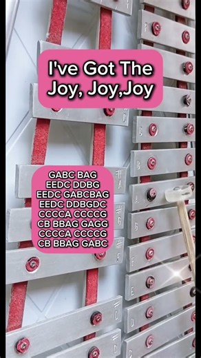 I'VE GOT THE JOY, JOY,JOY/LYRE XYLOPHONE COVER/H&C ENTERTAINMENT