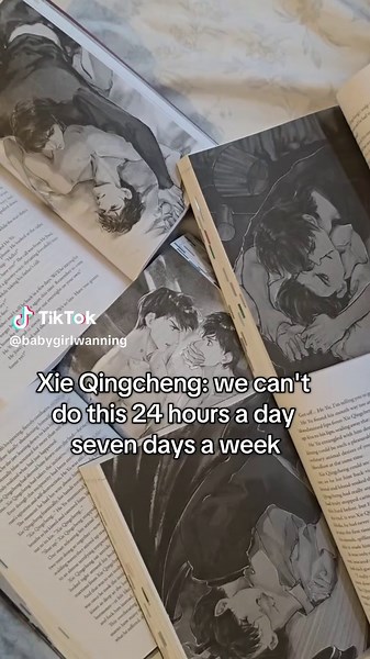 Exploring Danmei: Case File Compendium Insights