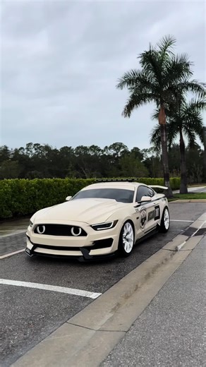 Forza Horizon 5 New Update Overview