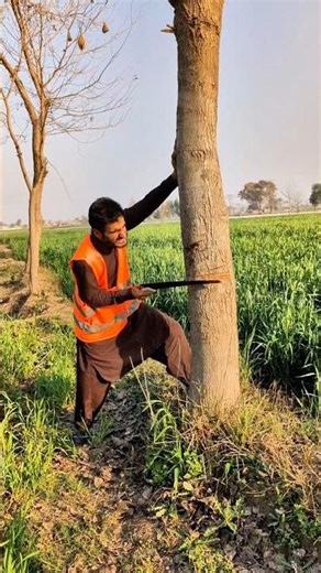 The Child Saved The Tree From being cut down.