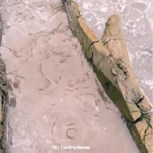 451K views · 3.1K reactions | Technologiaa  | Trending Memes | Facebook