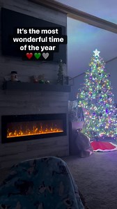 I love cozy nights spent watching the tree. 🎄 | Mandi Painter