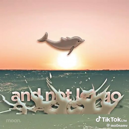 i just wanna be part of your ? #dolphin #meme #symphony #edit | symphony
