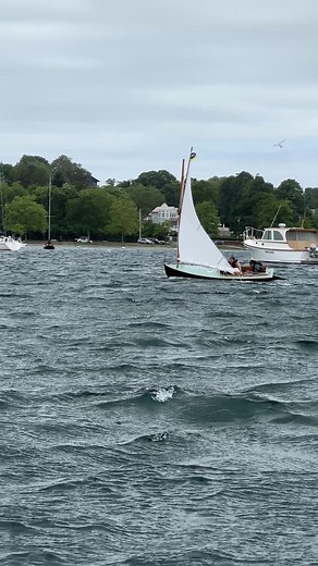 33K views · 688 reactions | Your chance to win an IYRS student-restored Beetle Cat has come to an end! We thank everyone who entered to sail away in a piece of IYRS history. We will announce the winner Monday afternoon on social media! #IYRS #BeetleCat #Newport #RhodeIsland #Boat #Boating #Boats #Sails #Sail #Sailing #Sailboat | IYRS School of Technology & Trades | Facebook