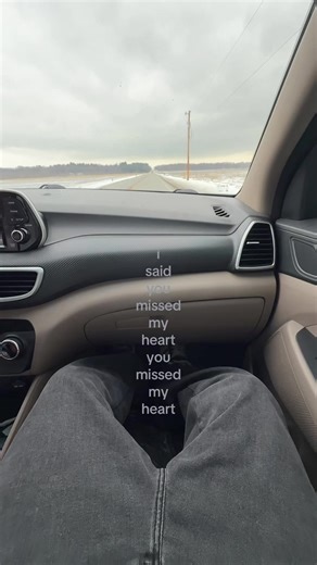 Phoebe Bridgers Song: You Missed My Heart
