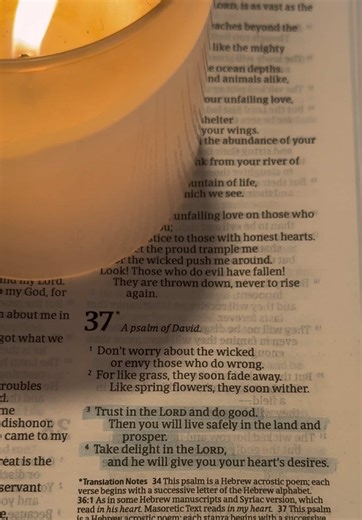 Psalm 37:3-4: Trust in Him! | Bible Verse of the Day