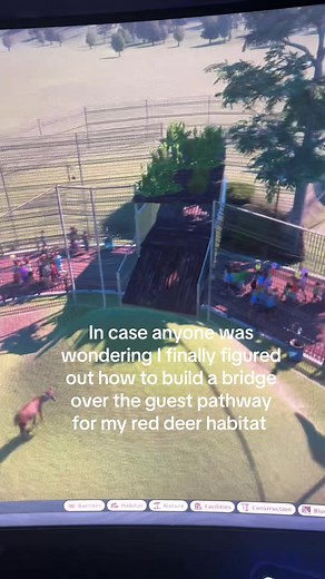 The building in this game actually high key pisses me off #planetzoo these deer better appreciate me and get me lots of conservation points on their young 😒