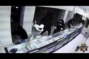 Flash mob thefts terrorise US retailers ahead of Christmas