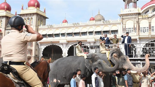 Mysuru Dasara elephants poised to carry forward the golden legacy
