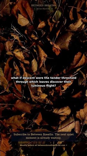 Why Do Leaves Fall So Gracefully? #Shorts