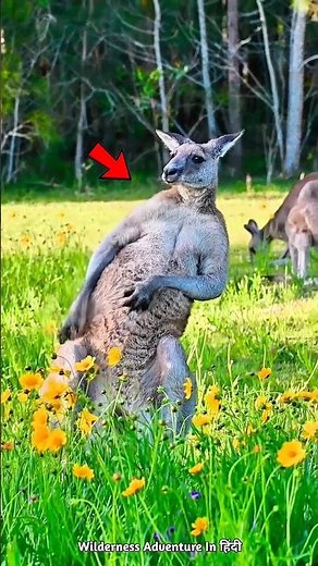 Animals That Confuse Scientists | #shorts