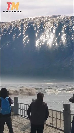 melihat ombak tertinggi di dunia