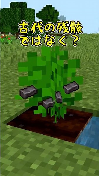 【マイクラ/アドオン紹介】あなたは採掘派？それとも農業派？【マイクラ/ゆっくり紹介】 #マイクラ #アドオン紹介 #マインクラフト