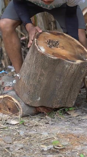 Amazing DIY Lamp Light Wooden Log for Home Decoration #trending #woodworking #log #shorts | Crafted Timberline | Facebook