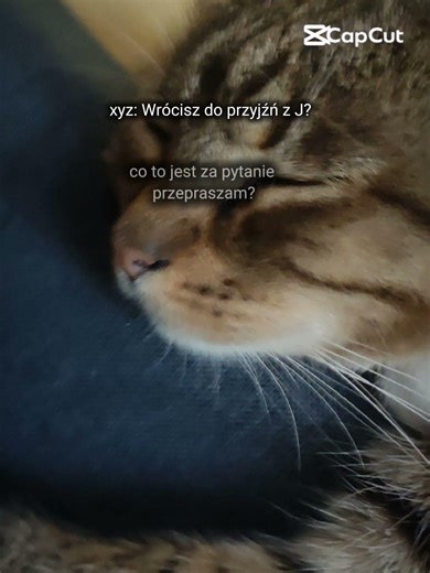 Przepraszam, co to za pytanie? ✨Daily 95/365