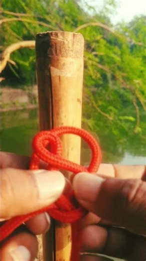 Top Rope Knots for Camping, Fishing & Survival #diytips #gtknot #campinghacks #quicktutorial #tips