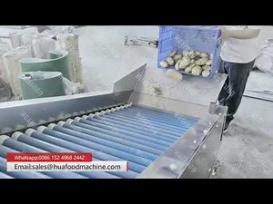 Round Root Vegetable Potato Sorter Grading Machine