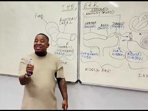 Structure of the Ear 👂🏾 - Labeling and Functions (Grade 12) Life Sciences / Part 1