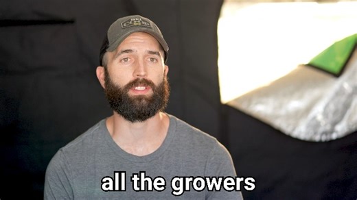 Watch TPS Signal Grower Review on Amazon Live