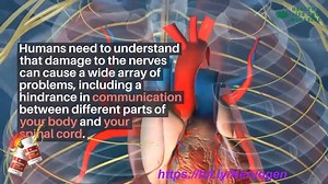 Nervogen Pro Review - Scam Reports Or Nervogen Pills Really Work? https://www.healthylifeandmagazine.com/nervogen-pro-review-scam-reports-or-nervogen-pills-really-work/html #NervogenPills #NervogenPro is a newly released formula to support nerve #health. Numerous studies on the human body have shown that our cognitive and nervous functions deteriorate with age. The process of deterioration continues to the extent that it is difficult for us to think at the same level as before. Aside from the #n