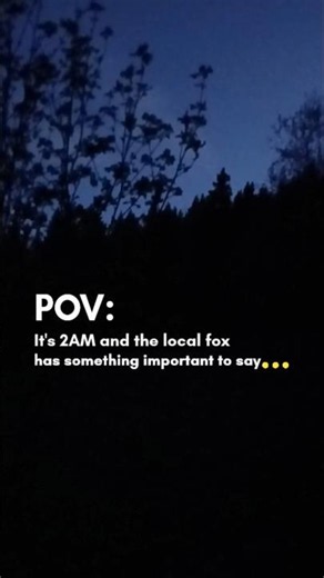 🔊 Ever wondered what a fox sounds like? 🦊 Our neighbour kept us up during the night 🥱