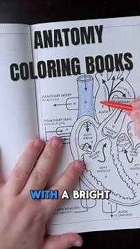 Can coloring books help you learn anatomy?