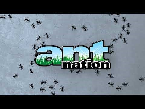 Ant Nation WiiWare OST: Battle