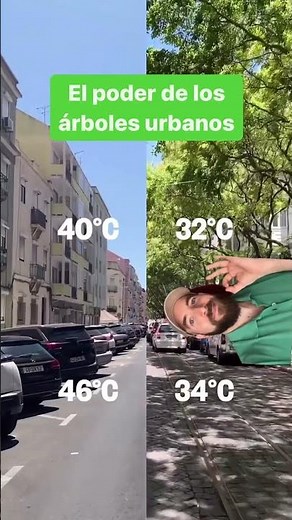 🌳 REVELANDO la Verdadera IMPORTANCIA de los ÁRBOLES URBANOS (alucina)