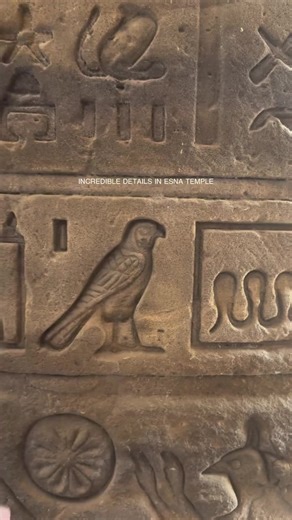 Esna Temple Details – Carved Stories on Every Wall 🏛️ Follow us for more about Egypt #egypt #egypte #egipto #egito #esnatemple