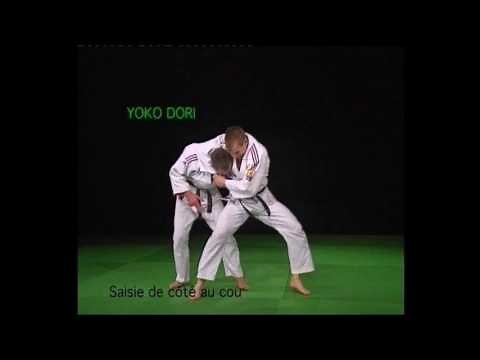 Les 12 et 20 techniques imposées Jujitsu