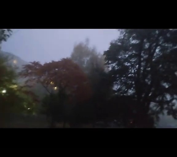 лю тя #vibe #fyp #fog #morning