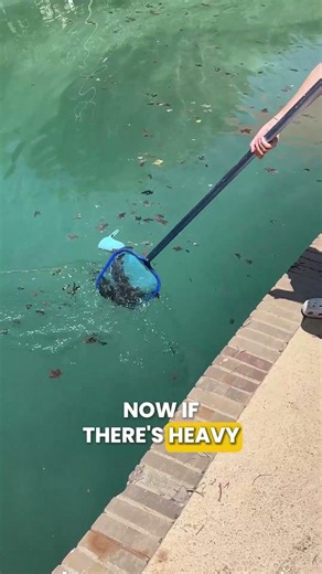 Pool Valves 101: How Do They Work? 🚰